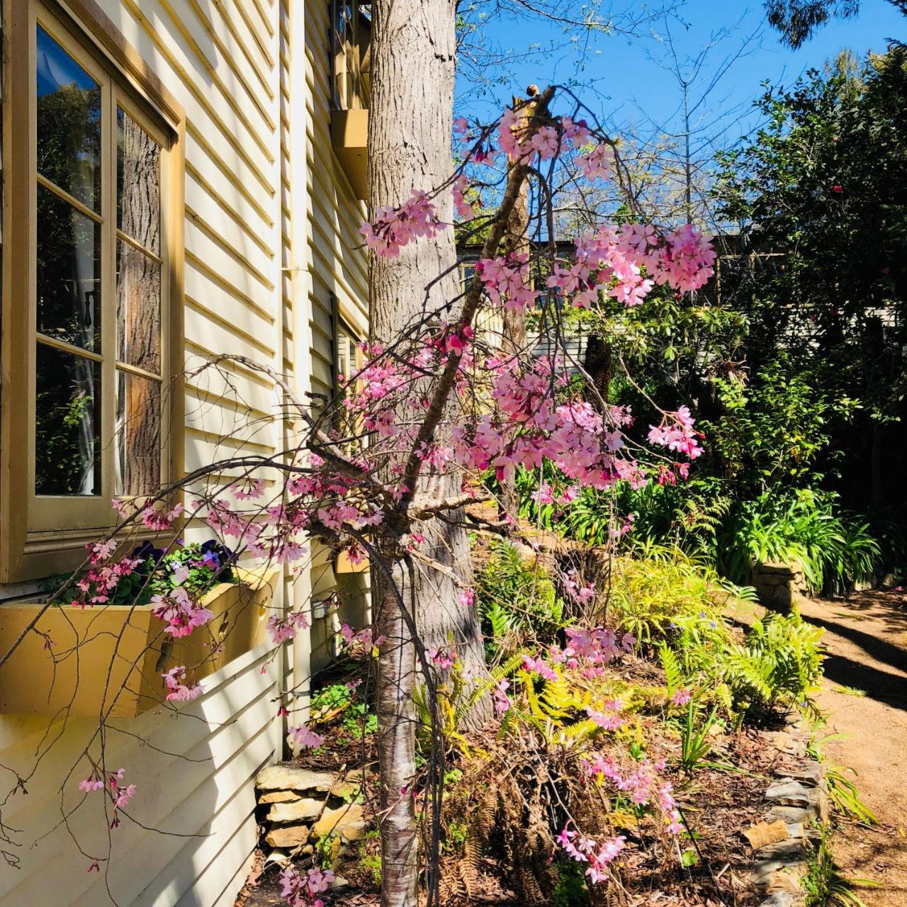 Aldgate Creek Cottage Bed&Breakfast Exteriör bild