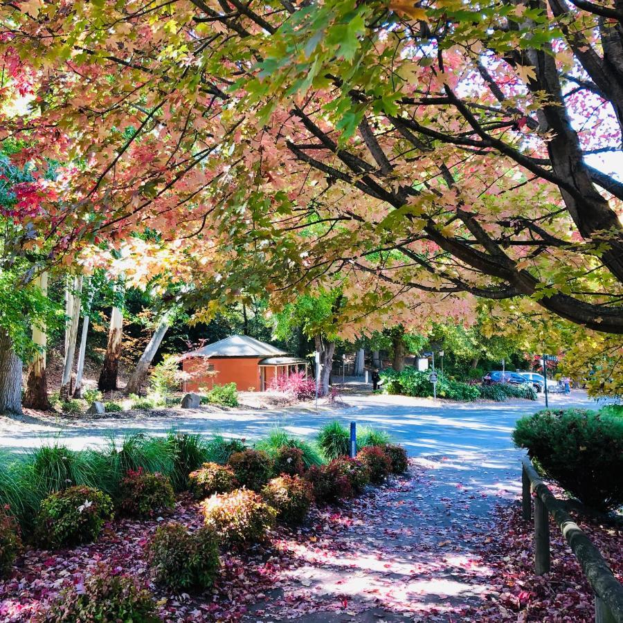 Aldgate Creek Cottage Bed&Breakfast Exteriör bild